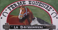 ferme equestre de la brissonniere